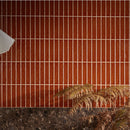 Avebury Burnt Caramel 5x25 Box Ca'Pietra