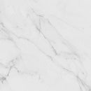Carrara Blanco Brillo 44.3x44.3 Tile Porcelanosa