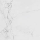 Carrara Blanco Brillo 44.3x44.3 Tile Porcelanosa
