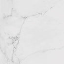 Carrara Blanco Brillo 44.3x44.3 Tile Porcelanosa