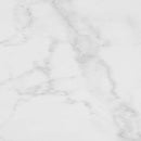 Carrara Blanco Brillo 44.3x44.3 Tile Porcelanosa