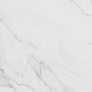 Carrara Blanco Brillo 44.3x44.3 Tile Porcelanosa