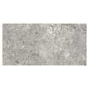 Ceppo Grey Matt 60x120 Tile Terratinta
