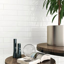 Decorative setting with a side table and a plant against a white tiled wall.