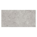 Marstood Stone 05 Ceppo di Gré 60x120 Tile Terratinta