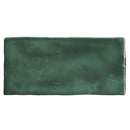 Memorie Muschio Glossy 6.5x13 Tile Sartoria By Terratinta