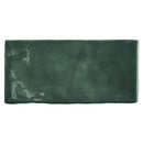 Memorie Muschio Glossy 6.5x13 Tile Sartoria By Terratinta