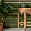 Petite Olive Gloss 5x15 Box Ca'Pietra