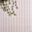 Deck Chair Rose 20x20 Box Ca'Pietra