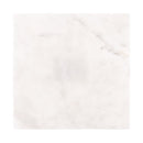 Nuvola Bianco Tile TileStyle 50cm x 50cm