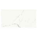 Absolute White 34x66.5 Tile Domino 