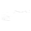 White marble effect tile with grey veining detail.