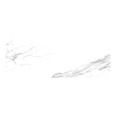 White marble effect tile with grey veining detail.