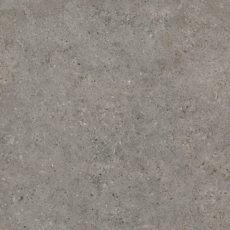 Bera&Beren - Dark Grey Natural 59.8x59.8 Tile Living Ceramics 