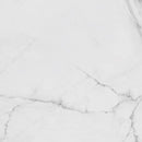 Carrara Blanco Brillo 44.3x44.3 Tile Porcelanosa 