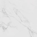 Carrara Blanco Natural 59.6X59.6 Tile Porcelanosa 