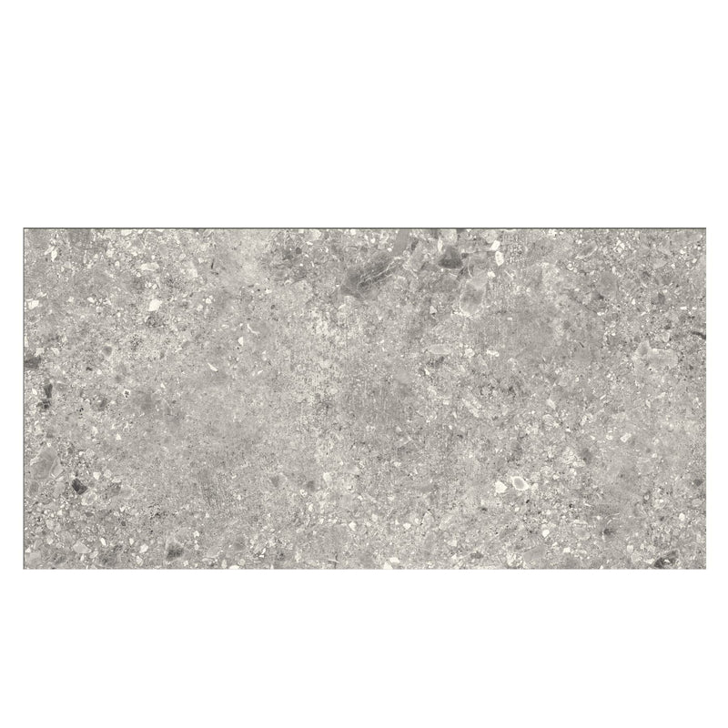 Ceppo Grey Matt 60x120 Tile Terratinta 