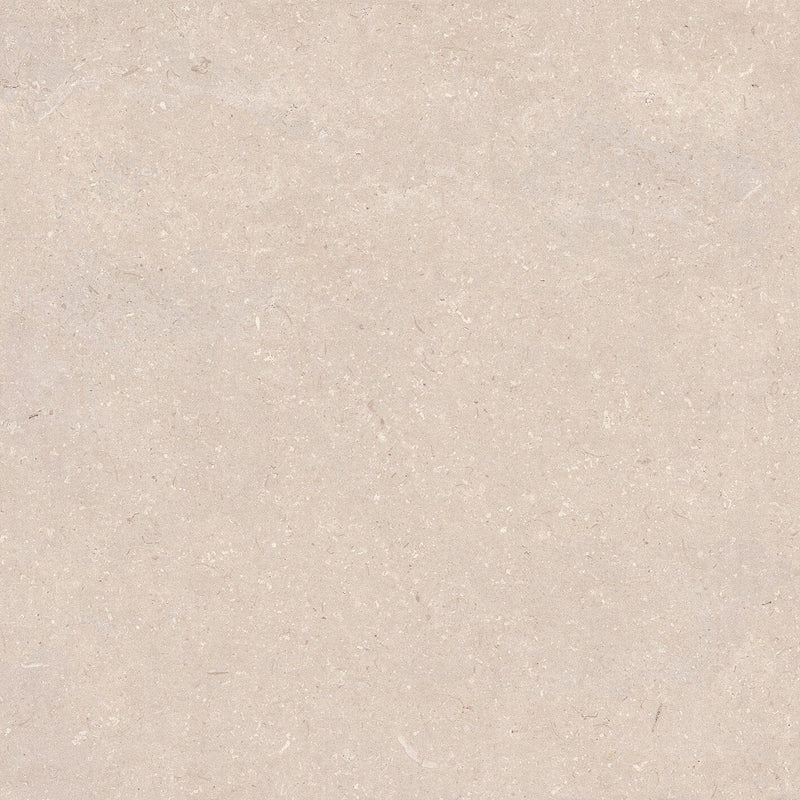 Coral Caliza 120x120 Box Porcelanosa 120cm x 120cm 