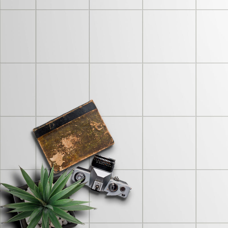 Vintage camera and leather case on a white tiled floor with a plant.