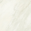 Glem White Polished 120x120 Box Porcelanosa 120cm x 120cm 