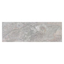 Image Silver 33x100 Tile Porcelanosa 