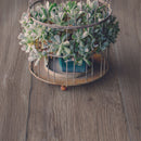 Libeccio Tortora 20x120 Box Terratinta 