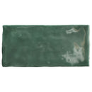 Memorie Muschio Glossy 6.5x13 Tile Sartoria By Terratinta 