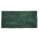 Memorie Muschio Glossy 6.5x13 Tile Sartoria By Terratinta 