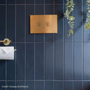 Metal Pneumatic Flush Plate - Brushed Brass Plumbing Products JTP 