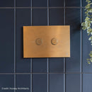 Metal Pneumatic Flush Plate - Brushed Brass Plumbing Products JTP 