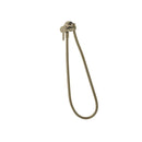 Brushed brass sanitary shower head with hose on a whitebackground