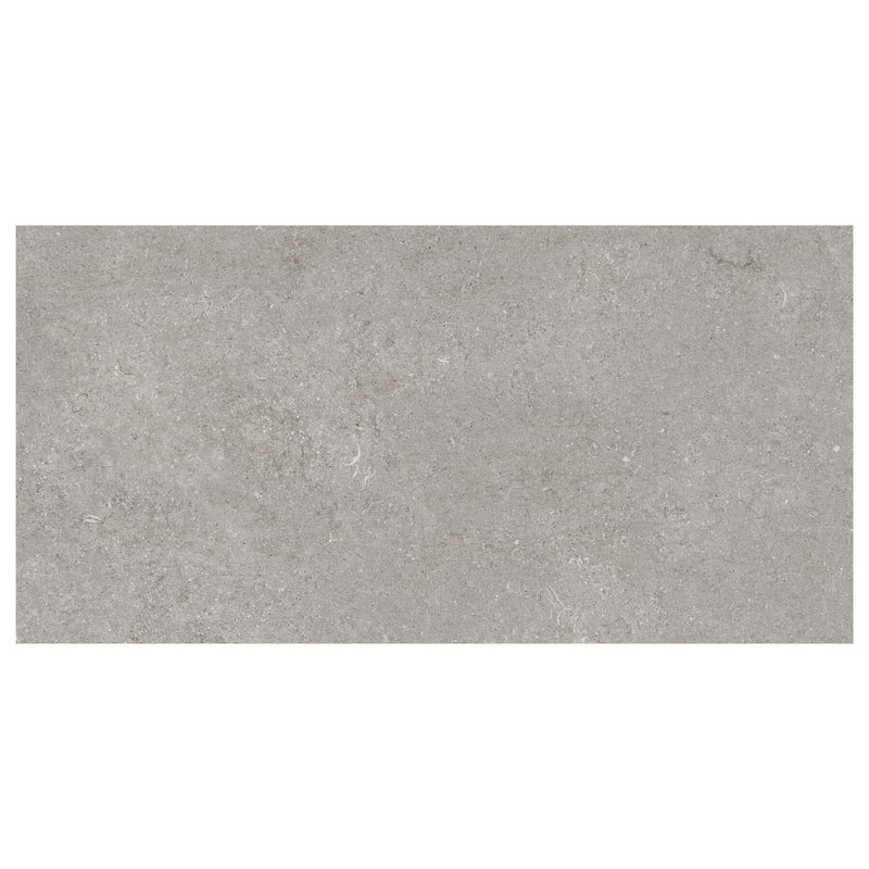 Sensi - Grey Fossil 60x120 Tile Florim 