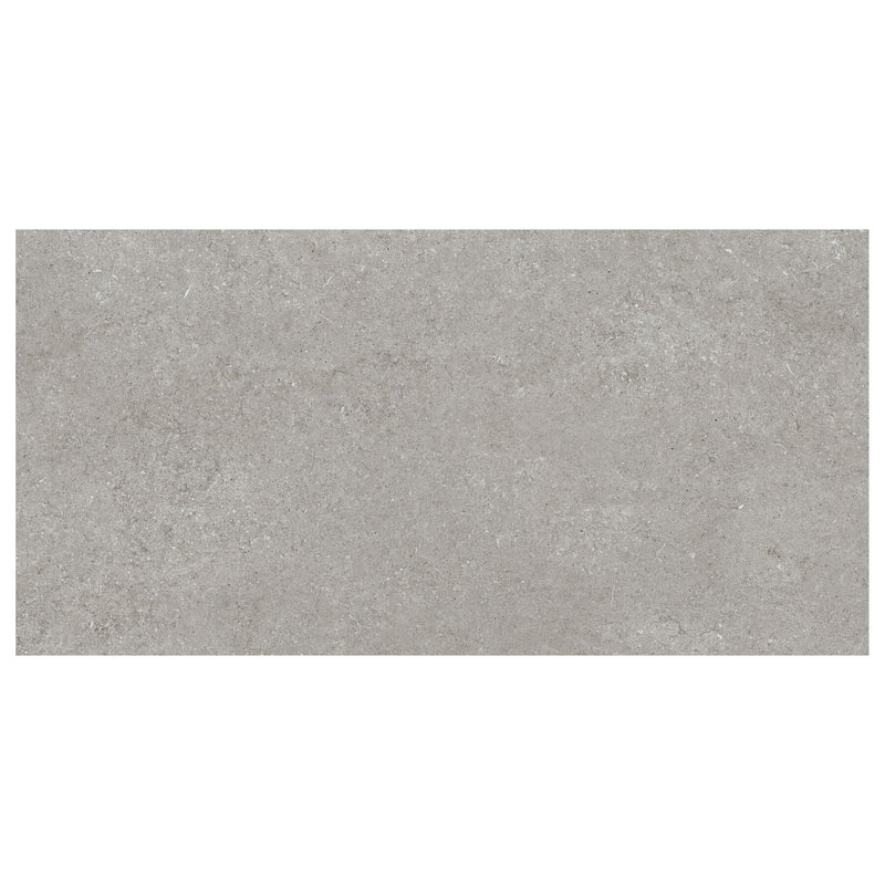 Sensi - Grey Fossil 60x120 Tile Florim 