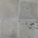 Soft Concrete Soft Iron 100x100 Tile TileStyle 
