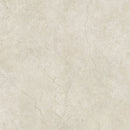 Stone Life Shell 120x120 Tile Florim 