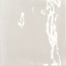 TBox Seashell Glossy 12.5x12.5 Tile Sartoria By Terratinta 