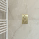 VOS 2 Outlet Vertical Shower Valve - Brushed Brass Shower Parts JTP 