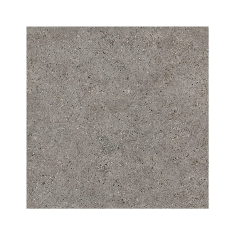 Bera&Beren - Dark Grey Antislip 59.8x59.8 Tile Living Ceramics 