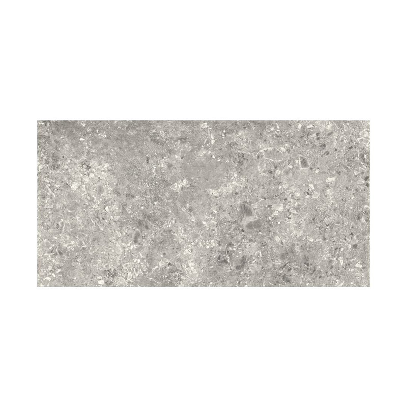 Ceppo Grey 2cm Outdoor Tile - 60x120 Tile Terratinta 