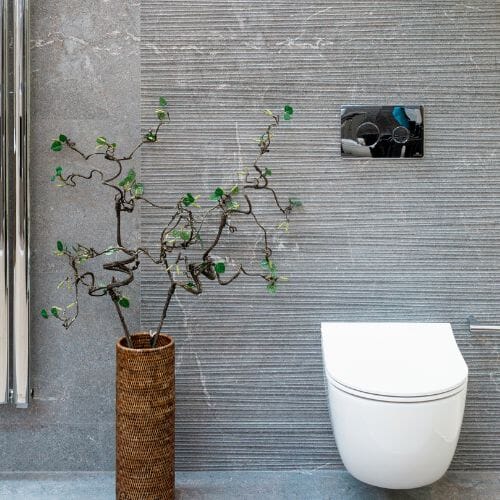 Buy RONDO SMARTLINE Double Flush Plate Chrome Plumbing Products