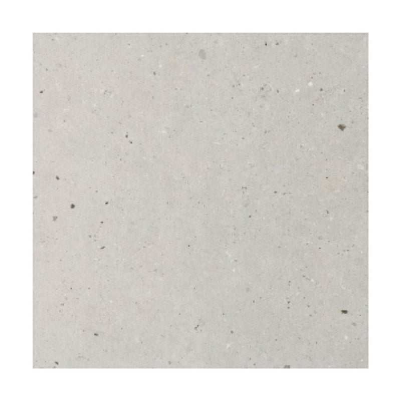 Silver Grain Grey Anti-Slip 2cm Outdoor Tile Tile Italgraniti 80cm x 80cm 