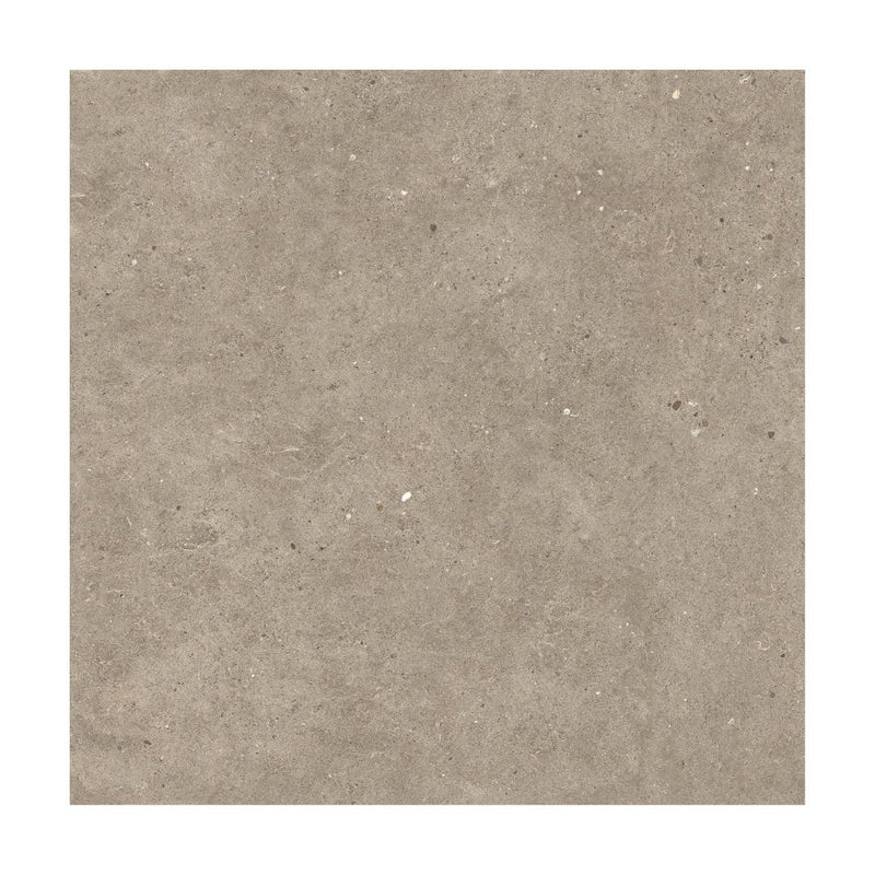 Silver Grain Taupe Anti-Slip 2cm Outdoor Tile - 80x80 Tile Italgraniti 