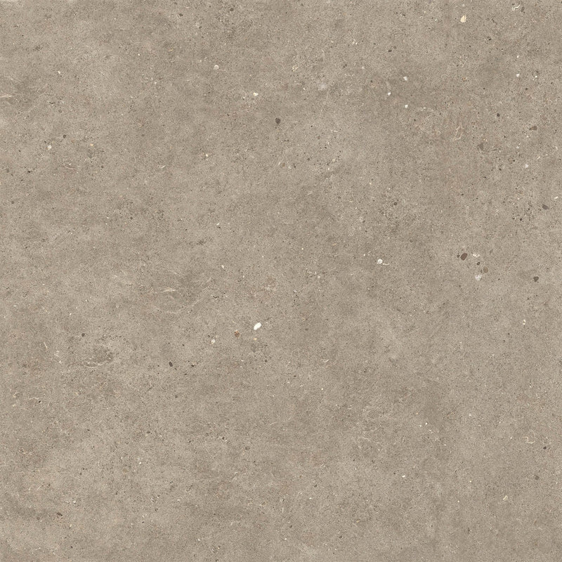 Silver Grain Taupe Tile Italgraniti S.p.A. 80cm x 80cm 