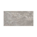 Unique Marble Moon Grey Polished 60x120 Box Emil Ceramica 